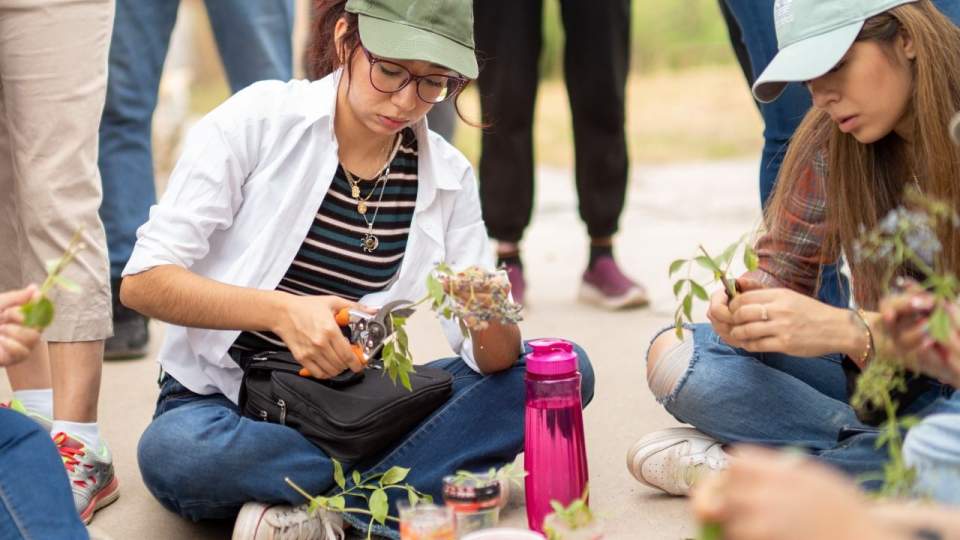 Promueve Creson acciones para la restauración del ecosistema regional